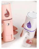 Mini Facial Steamer